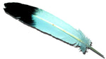 Feathers - Eagle Wing 4 Pk