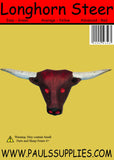 Longhorn Steer