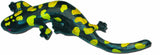 Salamander